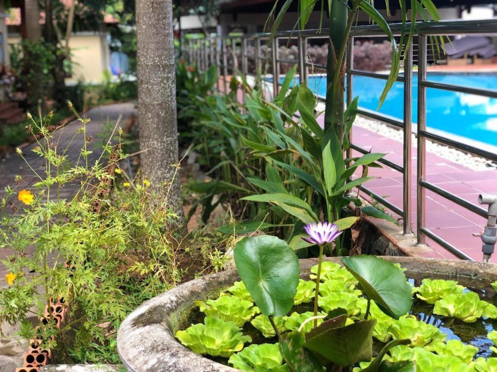 Castaways Resort دونغ دونغ المظهر الخارجي الصورة